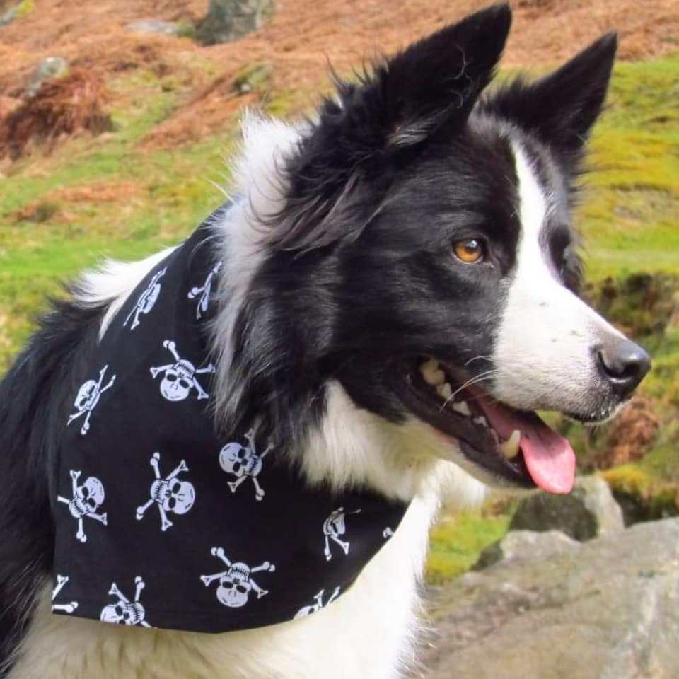 Finest handmade dog bandanas bow ties Droolbuster bibs Dudiedog